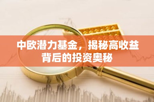 中欧潜力基金，揭秘高收益背后的投资奥秘