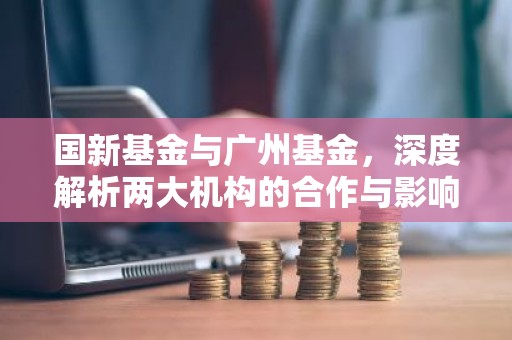 国新基金与广州基金，深度解析两大机构的合作与影响