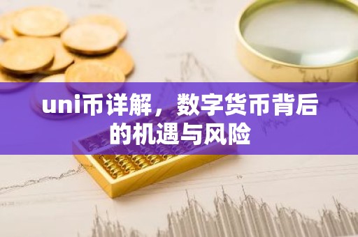 uni币详解，数字货币背后的机遇与风险