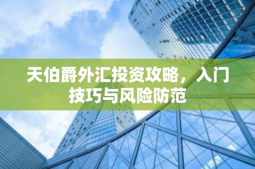 天伯爵外汇投资攻略，入门技巧与风险防范