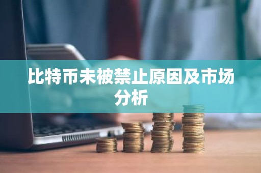 比特币未被禁止原因及市场分析