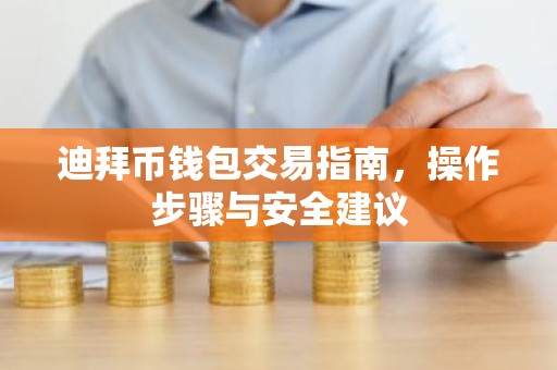 迪拜币钱包交易指南，操作步骤与安全建议