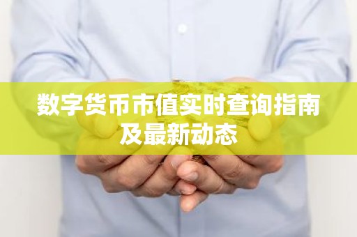 数字货币市值实时查询指南及最新动态