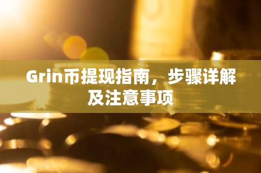 Grin币提现指南，步骤详解及注意事项