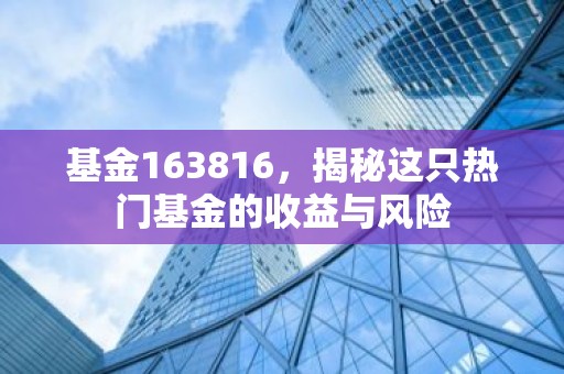 基金163816，揭秘这只热门基金的收益与风险