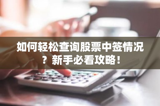 如何轻松查询股票中签情况？新手必看攻略！