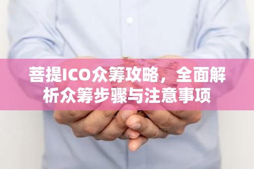 菩提ICO众筹攻略，全面解析众筹步骤与注意事项