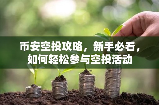 币安空投攻略，新手必看，如何轻松参与空投活动