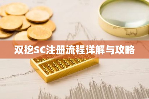 双挖SC注册流程详解与攻略