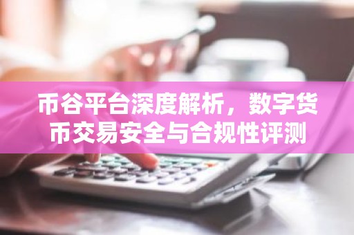 币谷平台深度解析，数字货币交易安全与合规性评测