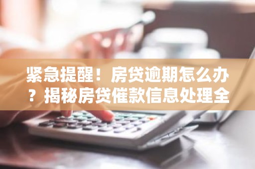 紧急提醒！房贷逾期怎么办？揭秘房贷催款信息处理全攻略