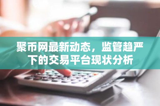 聚币网最新动态，监管趋严下的交易平台现状分析