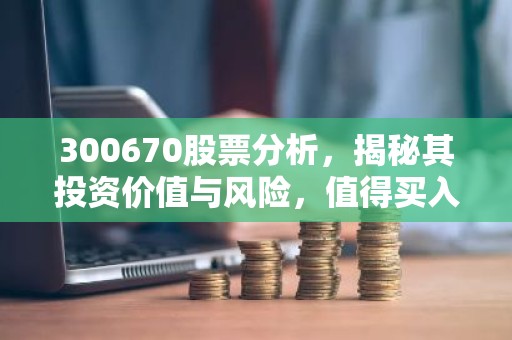 300670股票分析，揭秘其投资价值与风险，值得买入吗？
