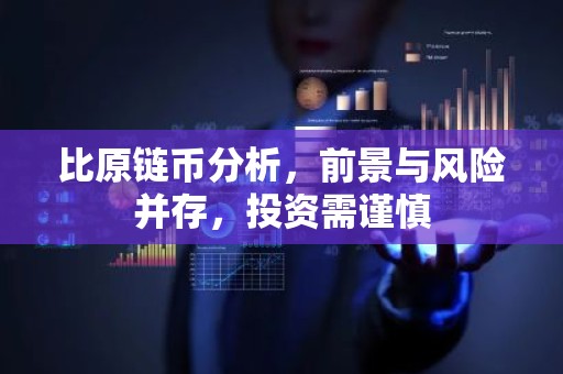 比原链币分析，前景与风险并存，投资需谨慎
