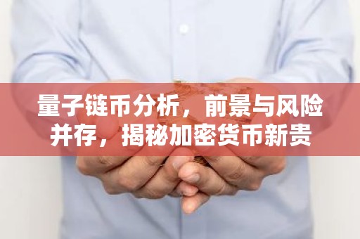 量子链币分析，前景与风险并存，揭秘加密货币新贵