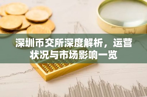 深圳币交所深度解析，运营状况与市场影响一览