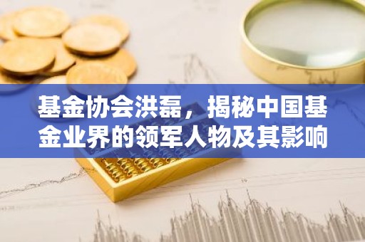 基金协会洪磊，揭秘中国基金业界的领军人物及其影响力