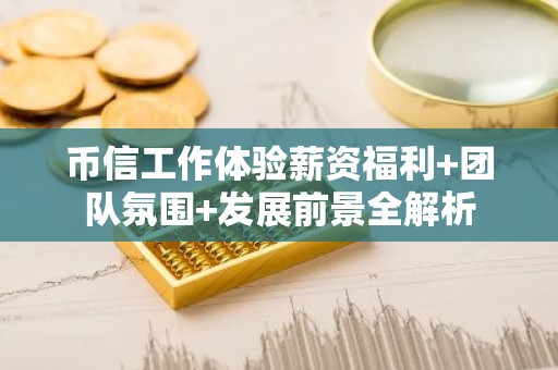 币信工作体验薪资福利+团队氛围+发展前景全解析