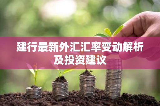 建行最新外汇汇率变动解析及投资建议