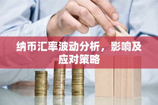 纳币汇率波动分析，影响及应对策略