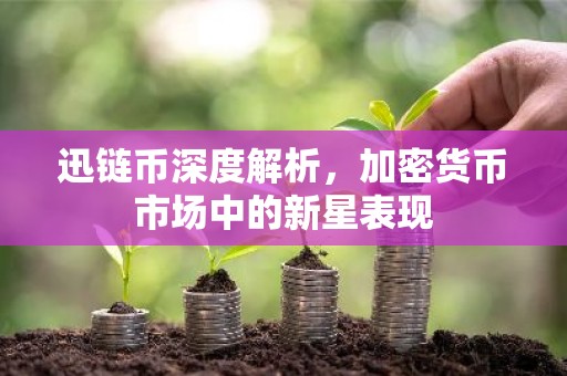 迅链币深度解析，加密货币市场中的新星表现