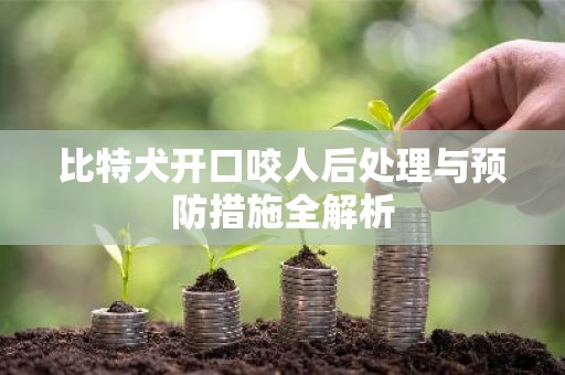 比特犬开口咬人后处理与预防措施全解析