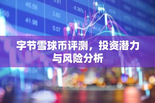 字节雪球币评测，投资潜力与风险分析