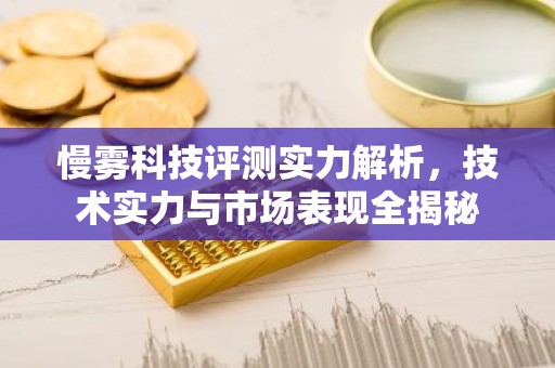 慢雾科技评测实力解析，技术实力与市场表现全揭秘