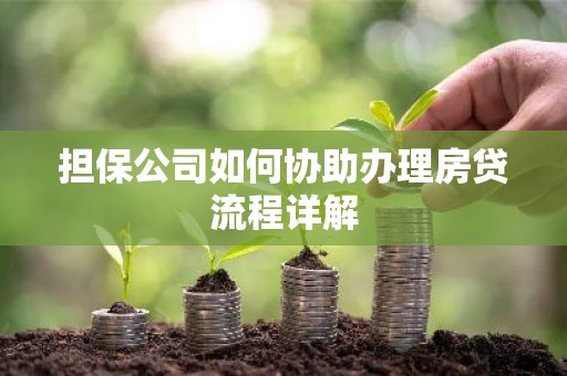 担保公司如何协助办理房贷流程详解