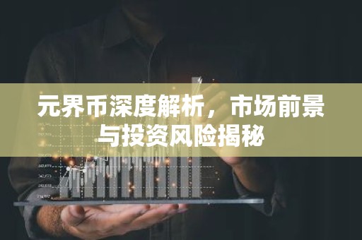 元界币深度解析，市场前景与投资风险揭秘