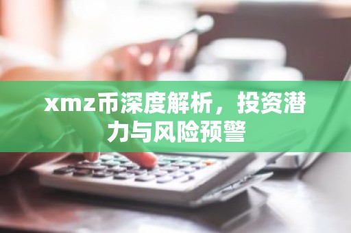 xmz币深度解析，投资潜力与风险预警