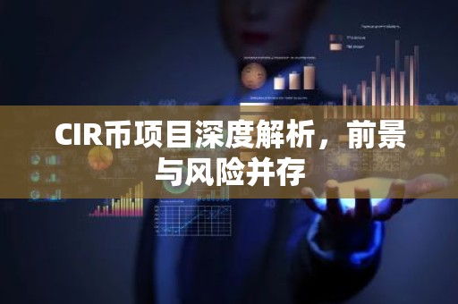 CIR币项目深度解析，前景与风险并存