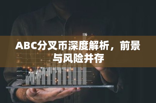 ABC分叉币深度解析，前景与风险并存