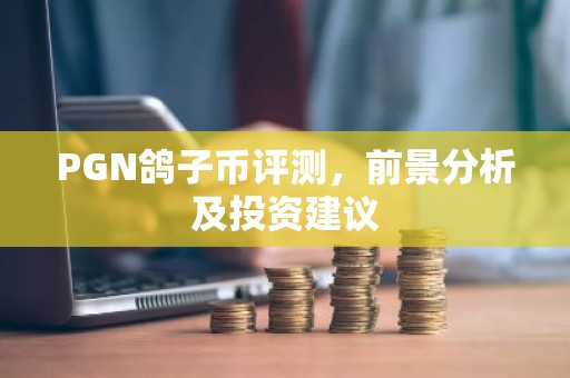 PGN鸽子币评测，前景分析及投资建议