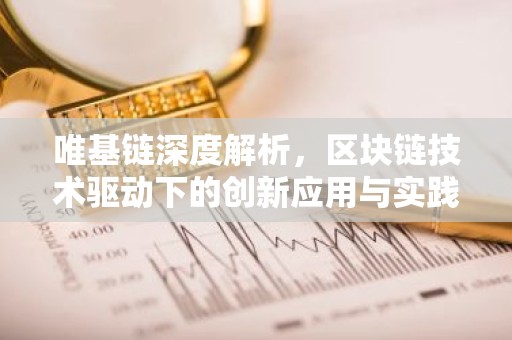 唯基链深度解析，区块链技术驱动下的创新应用与实践