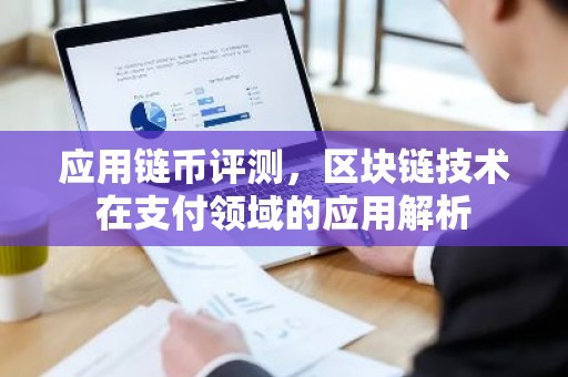 应用链币评测，区块链技术在支付领域的应用解析