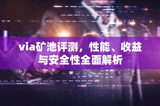 via矿池评测，性能、收益与安全性全面解析