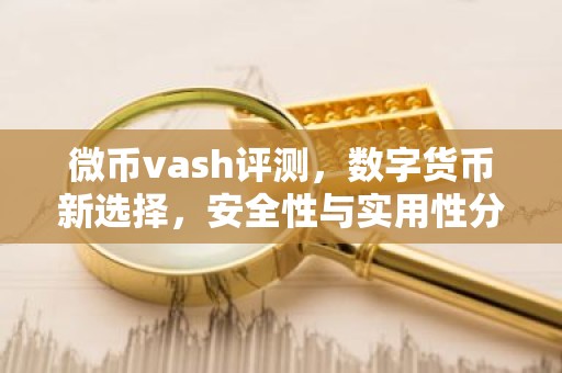 微币vash评测，数字货币新选择，安全性与实用性分析