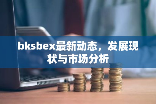 bksbex最新动态，发展现状与市场分析