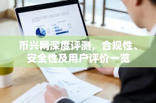 币兴网深度评测，合规性、安全性及用户评价一览