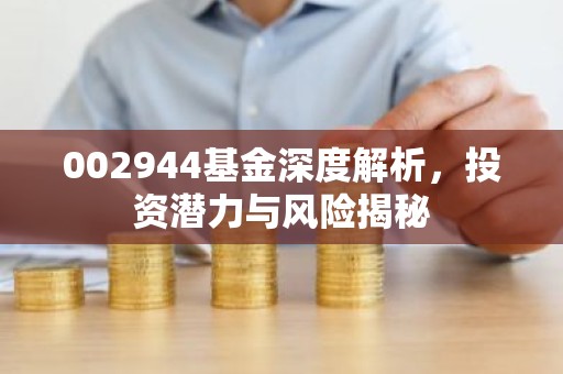 002944基金深度解析，投资潜力与风险揭秘