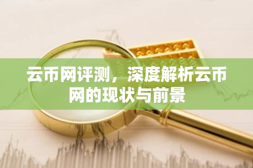 云币网评测，深度解析云币网的现状与前景