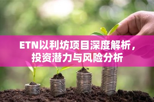 ETN以利坊项目深度解析，投资潜力与风险分析
