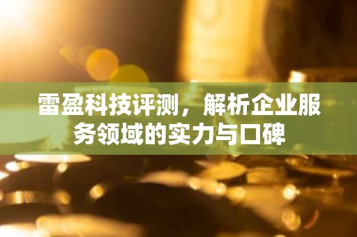 雷盈科技评测，解析企业服务领域的实力与口碑