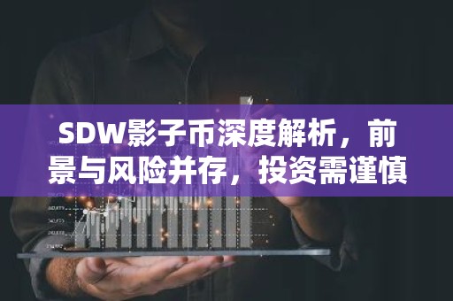 SDW影子币深度解析，前景与风险并存，投资需谨慎