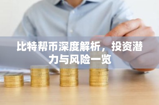 比特帮币深度解析，投资潜力与风险一览