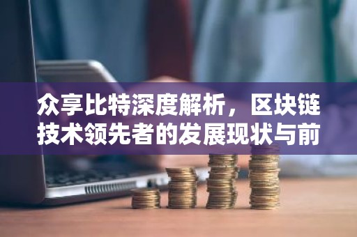 众享比特深度解析，区块链技术领先者的发展现状与前景