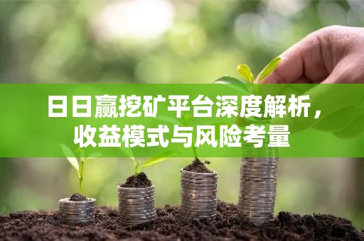 日日赢挖矿平台深度解析，收益模式与风险考量