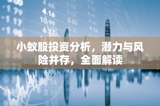 小蚁股投资分析，潜力与风险并存，全面解读