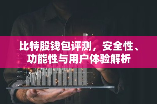 比特股钱包评测，安全性、功能性与用户体验解析